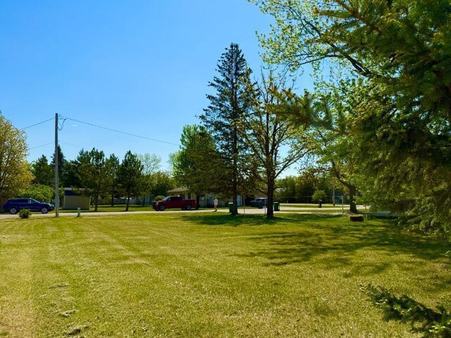 65 6th Ave S, Motley, MN 56466 - view of green lawn