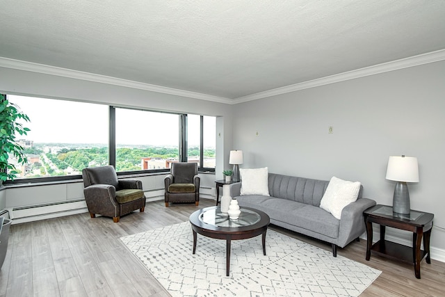 207 5th Ave SW Unit 901, Rochester, MN 55902 - living room featuring baseboard heating, light wood-style flooring, ornamental molding, and baseboards