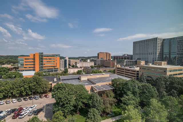 207 5th Ave SW Unit 901, Rochester, MN 55902 - city view