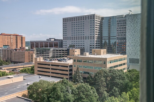 207 5th Ave SW Unit 901, Rochester, MN 55902 - city view