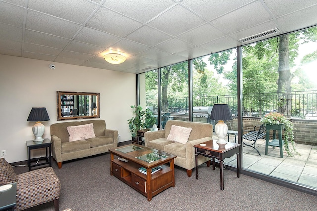 207 5th Ave SW Unit 901, Rochester, MN 55902 - living area featuring a wall of windows, carpet floors, and a paneled ceiling