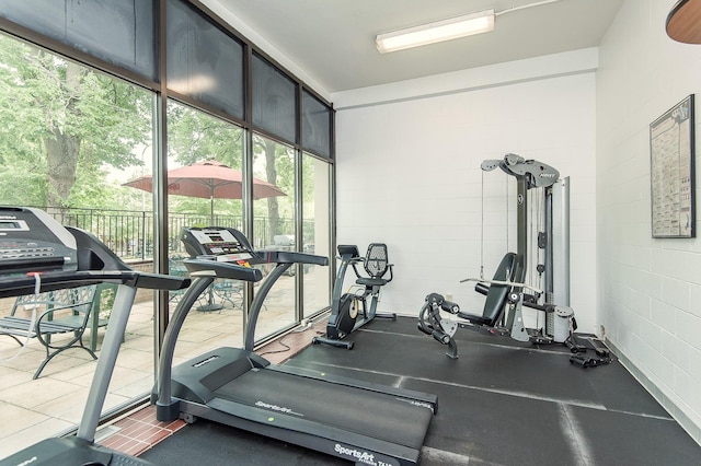 207 5th Ave SW Unit 901, Rochester, MN 55902 - exercise room with concrete block wall