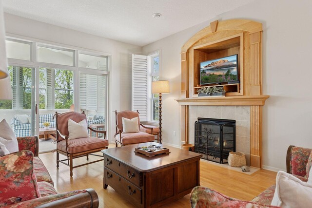 4555 Jewel Ln N, Plymouth, MN 55446 - living area with a fireplace, light wood-type flooring, and baseboards