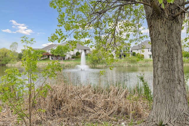 4555 Jewel Ln N, Plymouth, MN 55446 - water view