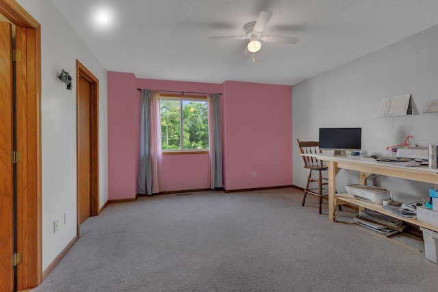16474 63rd St SE, Becker, MN 55308 - office area with a ceiling fan, carpet, and a textured ceiling