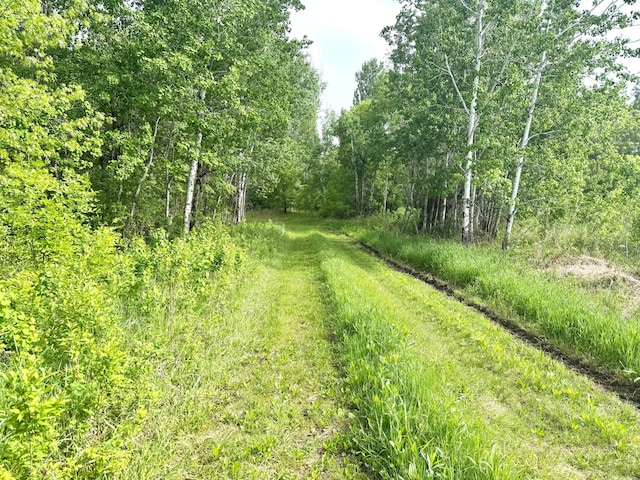 PARCELA26/-AC 470th St, Sunrise Twp, MN 55032