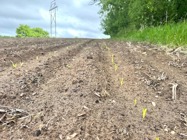 PARCELA26/-AC 470th St, Sunrise Twp, MN 55032
