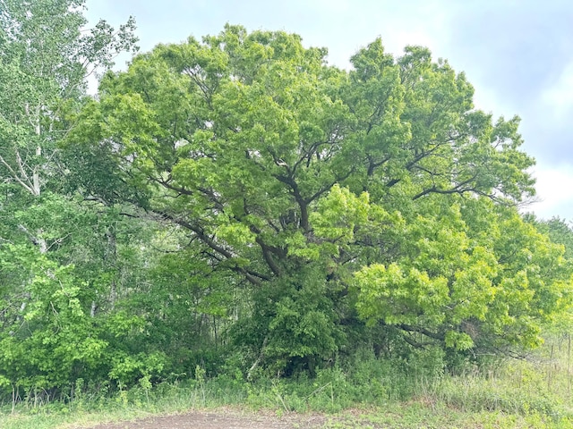 PARCELA26/-AC 470th St, Sunrise Twp, MN 55032