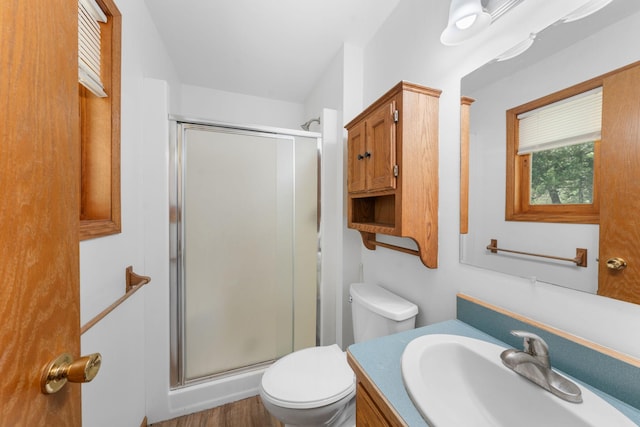 39094 Riverside Ct, North Branch, MN 55056 - full bathroom featuring a stall shower, toilet, vanity, and wood finished floors