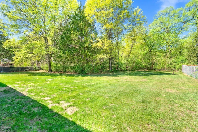 39094 Riverside Ct, North Branch, MN 55056 - view of yard