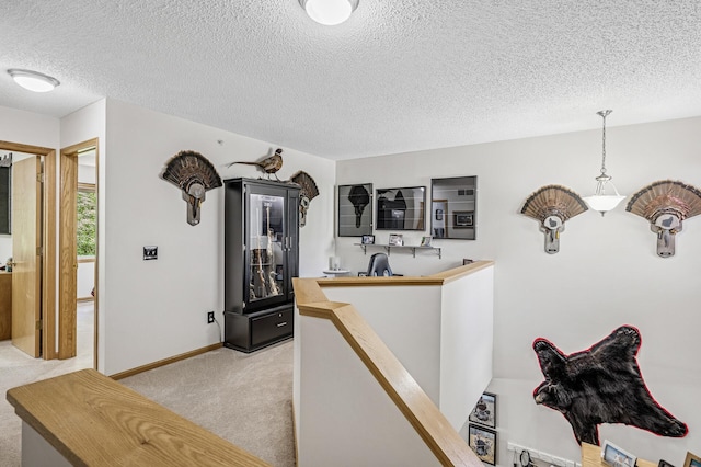 441 Pleasant Ln, Chaska, MN 55318 - photo 18