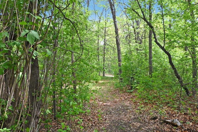 Listing photo 21 - caption unavailable
