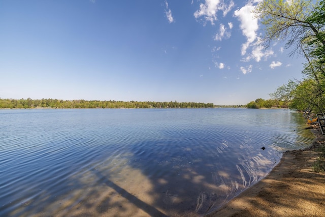24628 State 34, Nevis, MN 56467 - photo 10