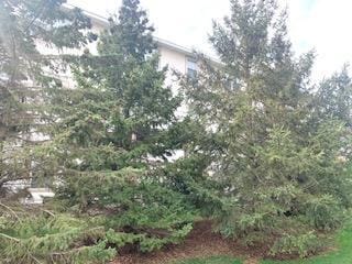 1595 Fox Hunt Way, Victoria, MN 55386 - view of yard