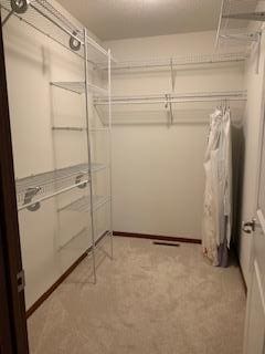 1595 Fox Hunt Way, Victoria, MN 55386 - walk in closet with light colored carpet