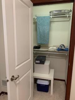 1595 Fox Hunt Way, Victoria, MN 55386 - view of closet
