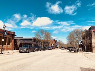 1595 Fox Hunt Way, Victoria, MN 55386 - view of street featuring street lights