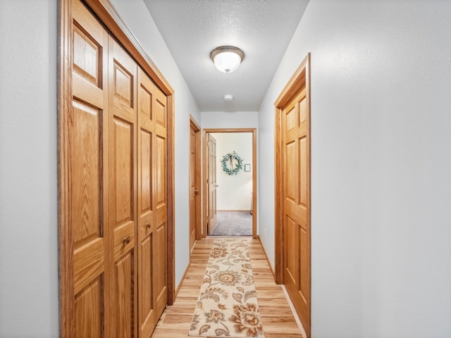116 Street Cir Unit 104, Miltona, MN 56354 - corridor with light wood-type flooring, a textured ceiling, and baseboards