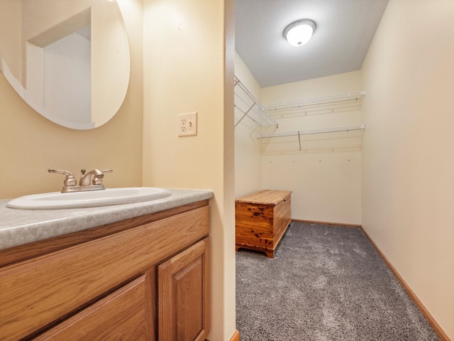 116 Street Cir Unit 104, Miltona, MN 56354 - spacious closet featuring a sink and carpet