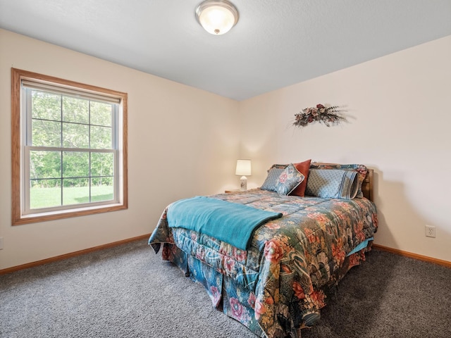 116 Street Cir Unit 104, Miltona, MN 56354 - bedroom featuring carpet floors and baseboards