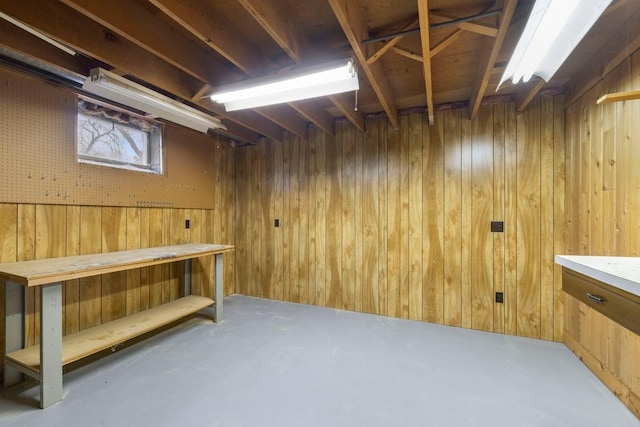 basement with wooden walls