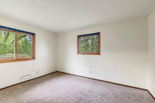 empty room with healthy amount of natural light, carpet flooring, and baseboards