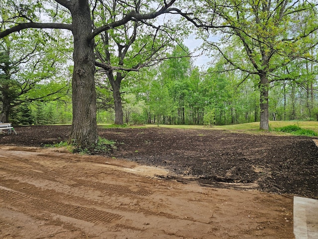 view of yard with a view of trees