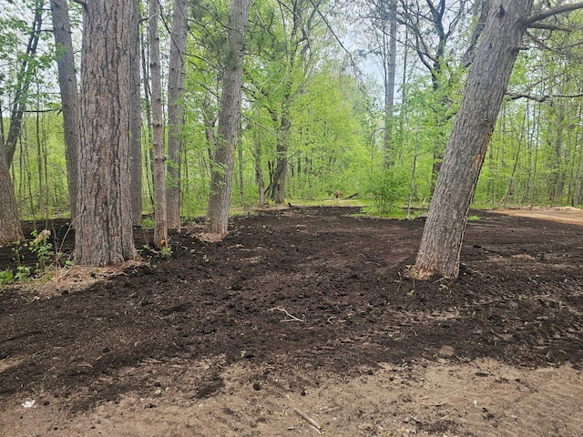 view of woods