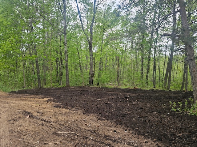 view of woods