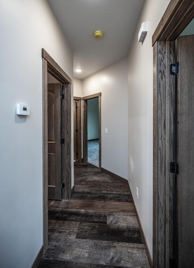 29194 Cynthia Path, Randolph, MN 55065 - hallway with wood finished floors and baseboards