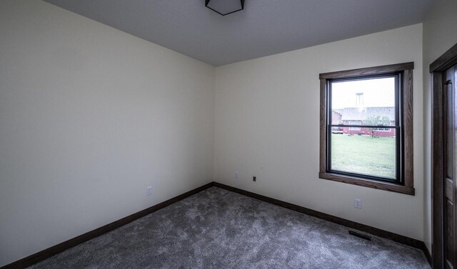 29194 Cynthia Path, Randolph, MN 55065 - photo 25