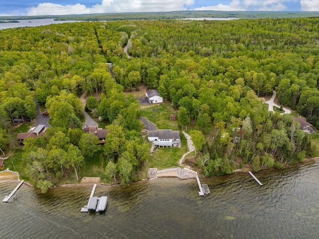 23324 Tioga Beach Rd, Cohasset, MN 55721 - aerial view of a forest and a large body of water