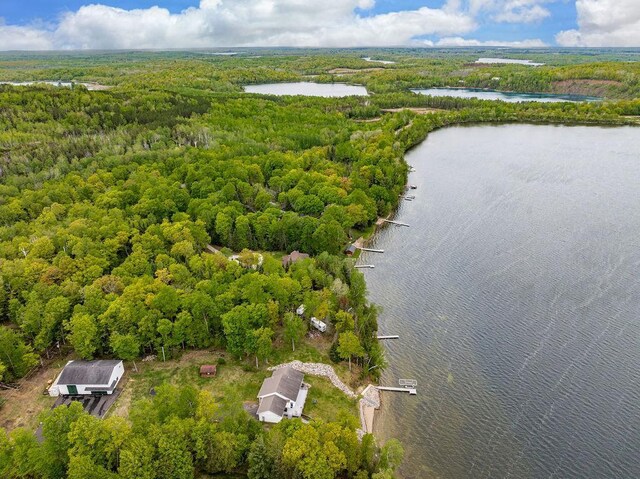 23324 Tioga Beach Rd, Cohasset, MN 55721 - drone / aerial view of a heavily wooded area and a large body of water