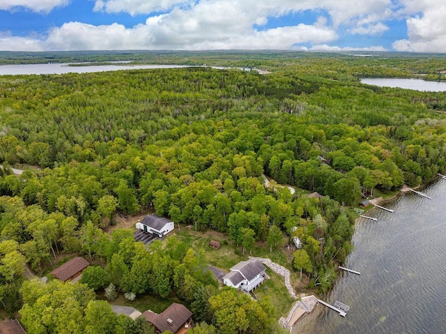 23324 Tioga Beach Rd, Cohasset, MN 55721 - drone / aerial view of a forest and a large body of water