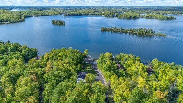 23324 Tioga Beach Rd, Cohasset, MN 55721 - view of property location featuring a large body of water and a heavily wooded area