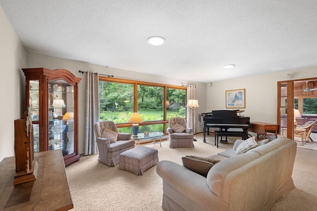 14 Overlook Rd, Dellwood, MN 55110 - carpeted living area featuring a textured ceiling and recessed lighting
