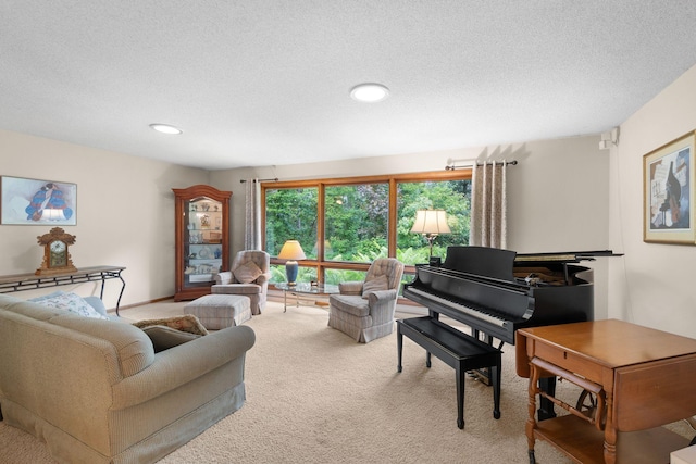 14 Overlook Rd, Dellwood, MN 55110 - living room featuring carpet flooring, a textured ceiling, and recessed lighting