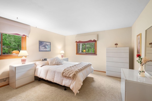 14 Overlook Rd, Dellwood, MN 55110 - bedroom featuring multiple windows and light carpet