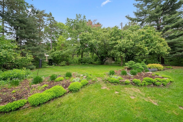 14 Overlook Rd, Dellwood, MN 55110 - view of green lawn