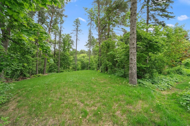 14 Overlook Rd, Dellwood, MN 55110 - view of yard with a view of trees