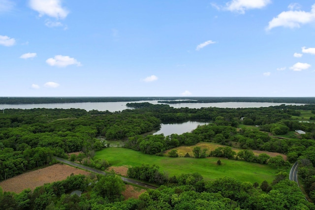 14 Overlook Rd, Dellwood, MN 55110 - bird's eye view of a nearby body of water and a heavily wooded area