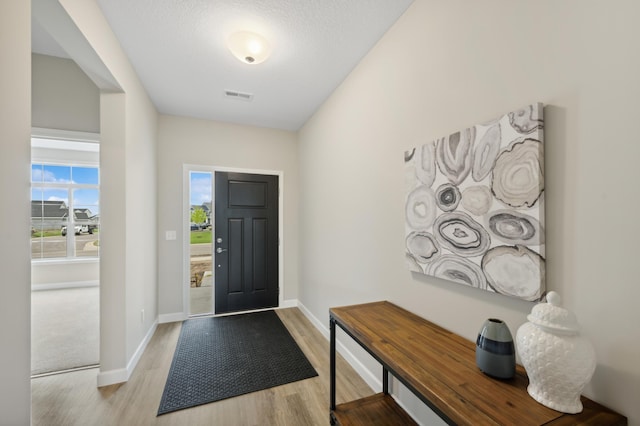 464 Whitewater Ct, Delano, MN 55328 - foyer entrance with light wood-type flooring and baseboards