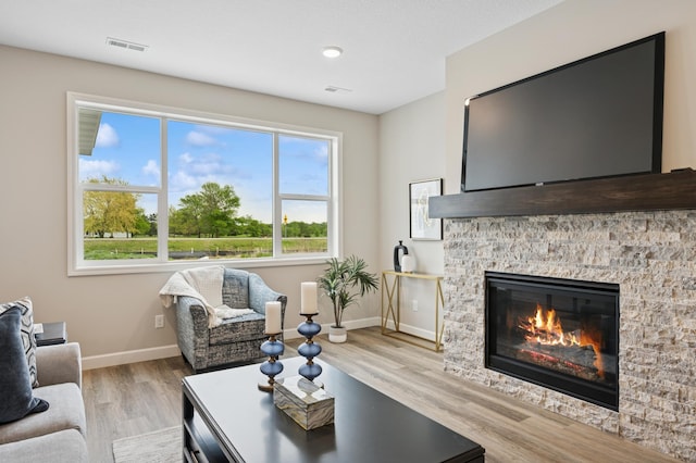 464 Whitewater Ct, Delano, MN 55328 - living room featuring wood finished floors, a stone fireplace, and baseboards