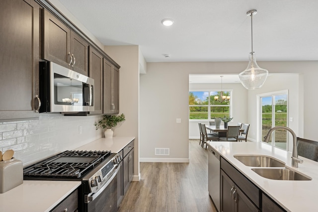 464 Whitewater Ct, Delano, MN 55328 - kitchen with stainless steel appliances, a sink, dark brown cabinets, light wood-style flooring, and a chandelier