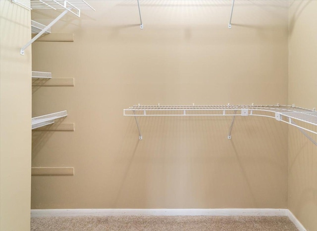 10326 Balsam Ln, Eden Prairie, MN 55347 - spacious closet with carpet floors