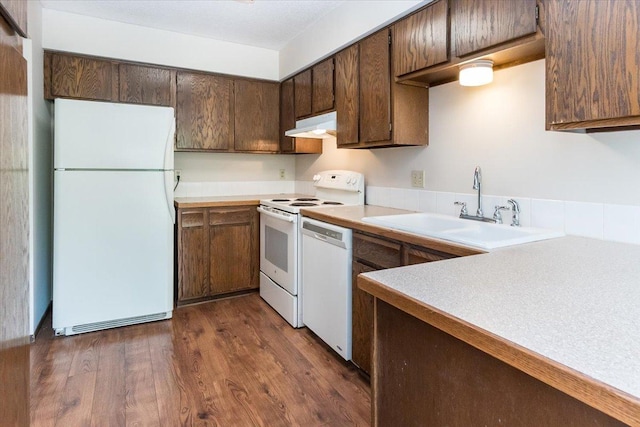 10350 Balsam Ln, Eden Prairie, MN 55347 - kitchen with white appliances, under cabinet range hood, light countertops, dark wood-style flooring, and dark brown cabinetry