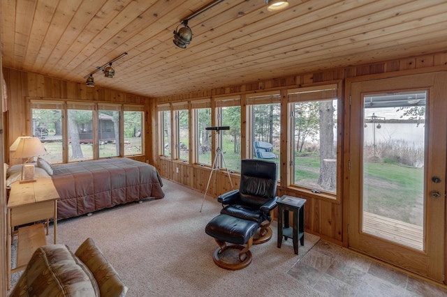 bedroom featuring vaulted ceiling, wood walls, rail lighting, multiple windows, and wooden ceiling