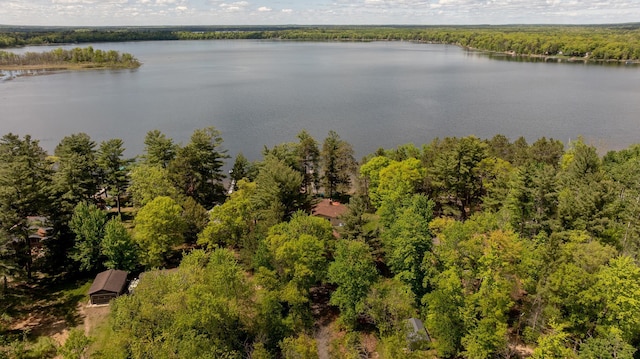 aerial view of a nearby body of water and a forest