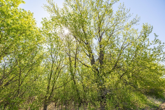PARCELB27/-AC 470th St, Sunrise Twp, MN 55032
