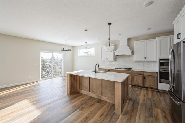 869 Greywood Blvd SW, Delano, MN 55328 - kitchen featuring custom exhaust hood, appliances with stainless steel finishes, a sink, wood finished floors, and decorative backsplash